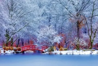 paysage hiver jigsaw puzzle