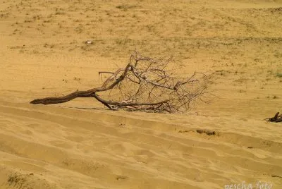 gran canaria / maspalomas jigsaw puzzle