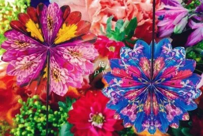 èœ·å·å¯¦èŠ±1