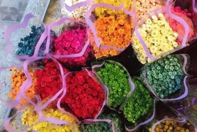 פאזל של flower6