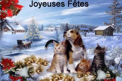 animaux noel