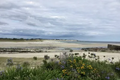Lande bretonne
