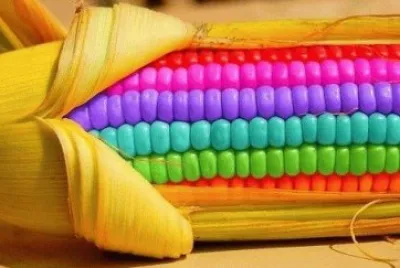 פאזל של colorful61