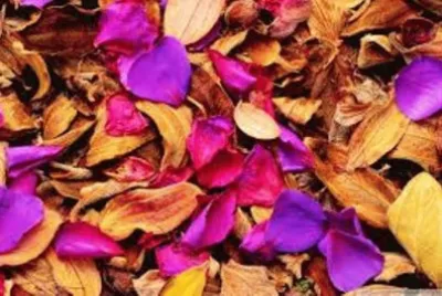 160 jigsaw puzzle