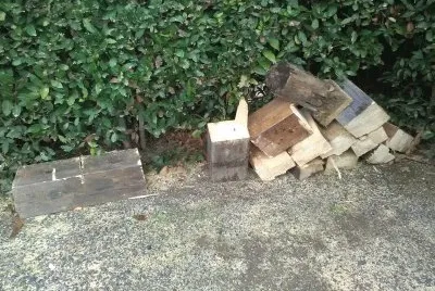 wood