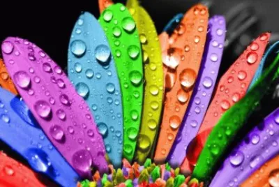 PUZZLE jigsaw puzzle