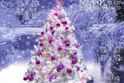 Gorgeous White Christmas Tree