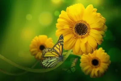imagem jigsaw puzzle