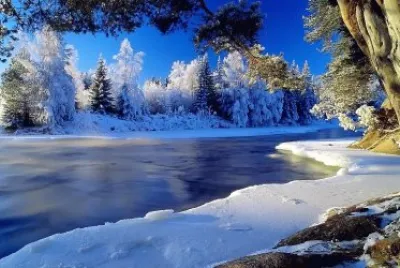 paysage hivernal