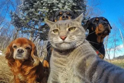 selfie