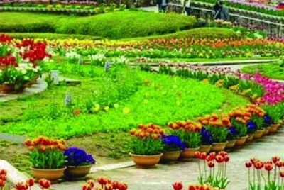 VÃ¡rias Flores jigsaw puzzle