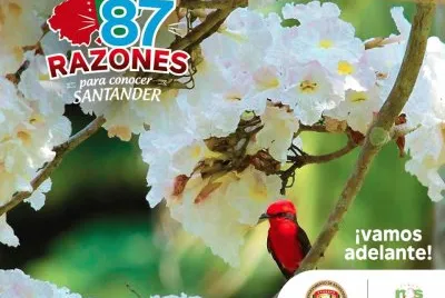todo un paraÃ­so