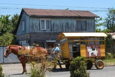 Lechero Villarrica