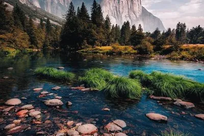Naturaleza