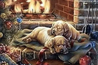 chiens au coin du feu