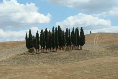Paesaggio toscano jigsaw puzzle