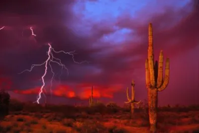 Arizona 1 jigsaw puzzle