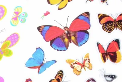 mariposas