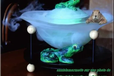 bain de vapeur