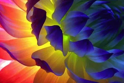 FOTO jigsaw puzzle