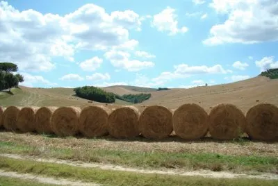 Paesaggio toscano jigsaw puzzle