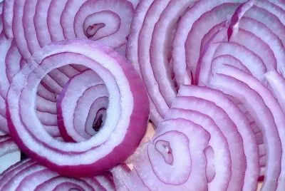 cipolle