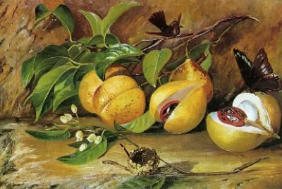 Marianne North