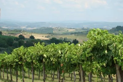 San Gimignano jigsaw puzzle