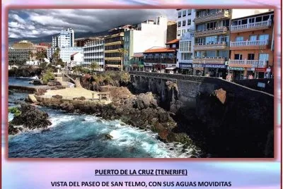 PUERTO DE LA CRUZ (TENERIFE) -VISTA DEL PASEO SAN TELMO jigsaw puzzle