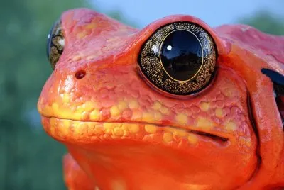 I 'm watching you