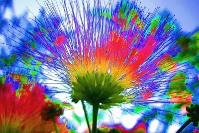Bunt jigsaw puzzle