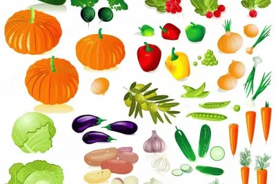 VERDURAS