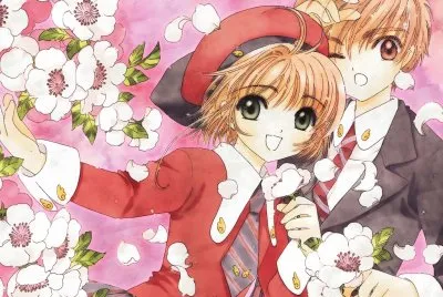 CCS jigsaw puzzle