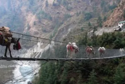 Himalayan Hanging Bridge