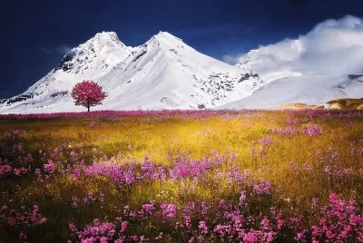 imagem jigsaw puzzle