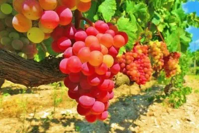 imagem jigsaw puzzle