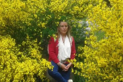 Las retamas de la Patagonia