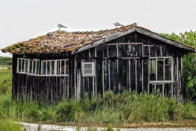 vieille cabane