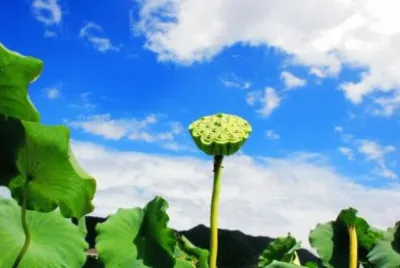 ç¾Žéº—é›²å½©