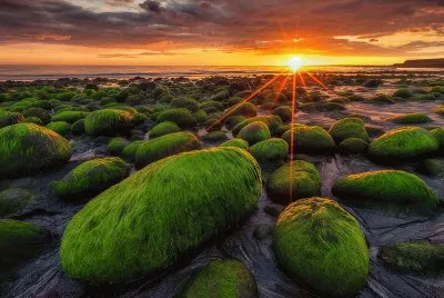 Iceland