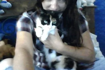 mi kitty jigsaw puzzle