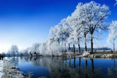 Paisaje jigsaw puzzle