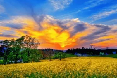 Paisaje jigsaw puzzle