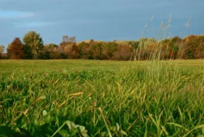 Paisaje