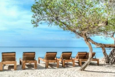 Mar   Arena jigsaw puzzle