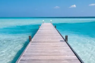 Mar jigsaw puzzle