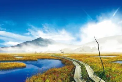 Paisaje jigsaw puzzle
