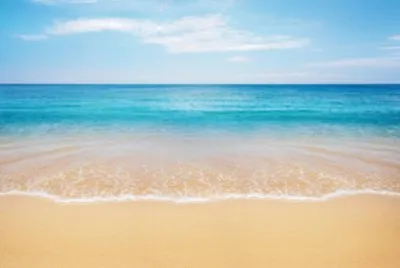 Mar   Arena jigsaw puzzle