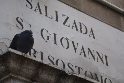 Venezia