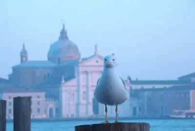 Venezia